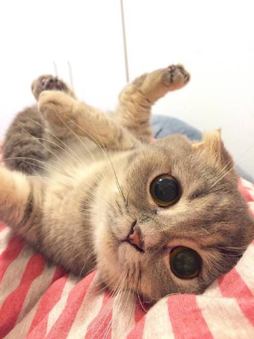 ȫ̱ջϺҽƻ¹ڿ