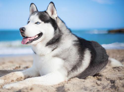 ծͳһϢ¶ծҪ˵顱